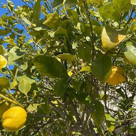 Lamia Gatta * Ostuni